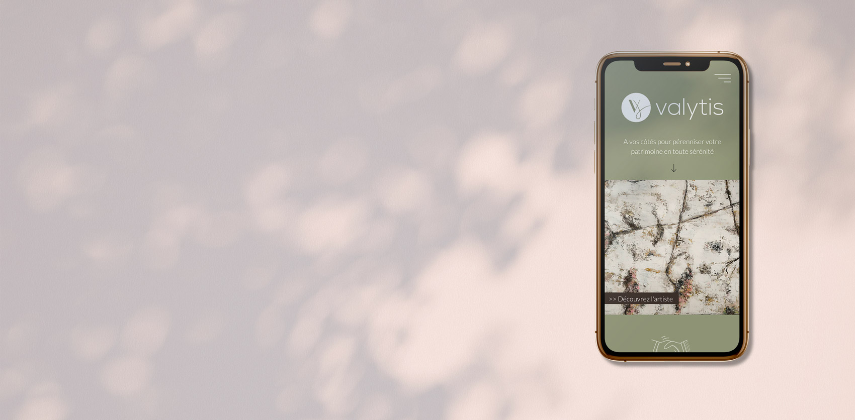 Création du site Valytis