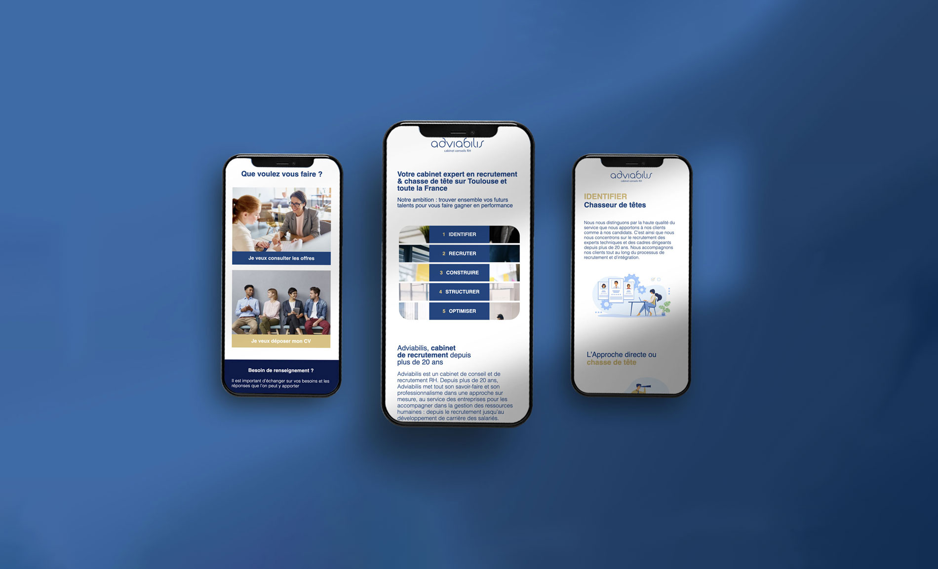 Création du site web Adviabilis